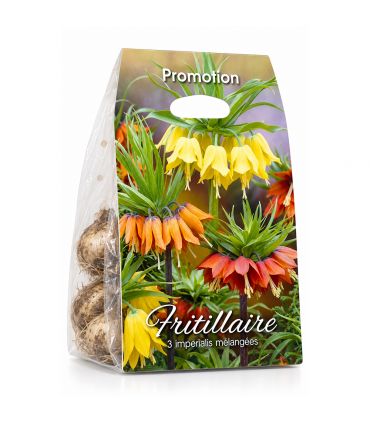 Fritillaires impériale Sgaravatti 3 bulbes en mélange, grandes fleurs de 100 à 120 cm pour massifs structurés - 789335
