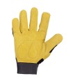 Gants de travail / manutention Gants precision renfort paume SOLIDUR FRMAGF