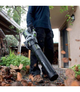 Souffleur feuilles batterie Ego Power LB5300E lithium 56V volume d air 900m3