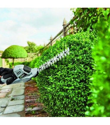 Taille herbe et haie lame 200 mm Egopower pack batterie et chargeur 2 Ah EGO POWER CHT2001E