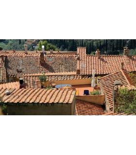 Antimousse concentré 3T 5 litres à diluer pour 1000 m² de traitement toit toiture mur et sol