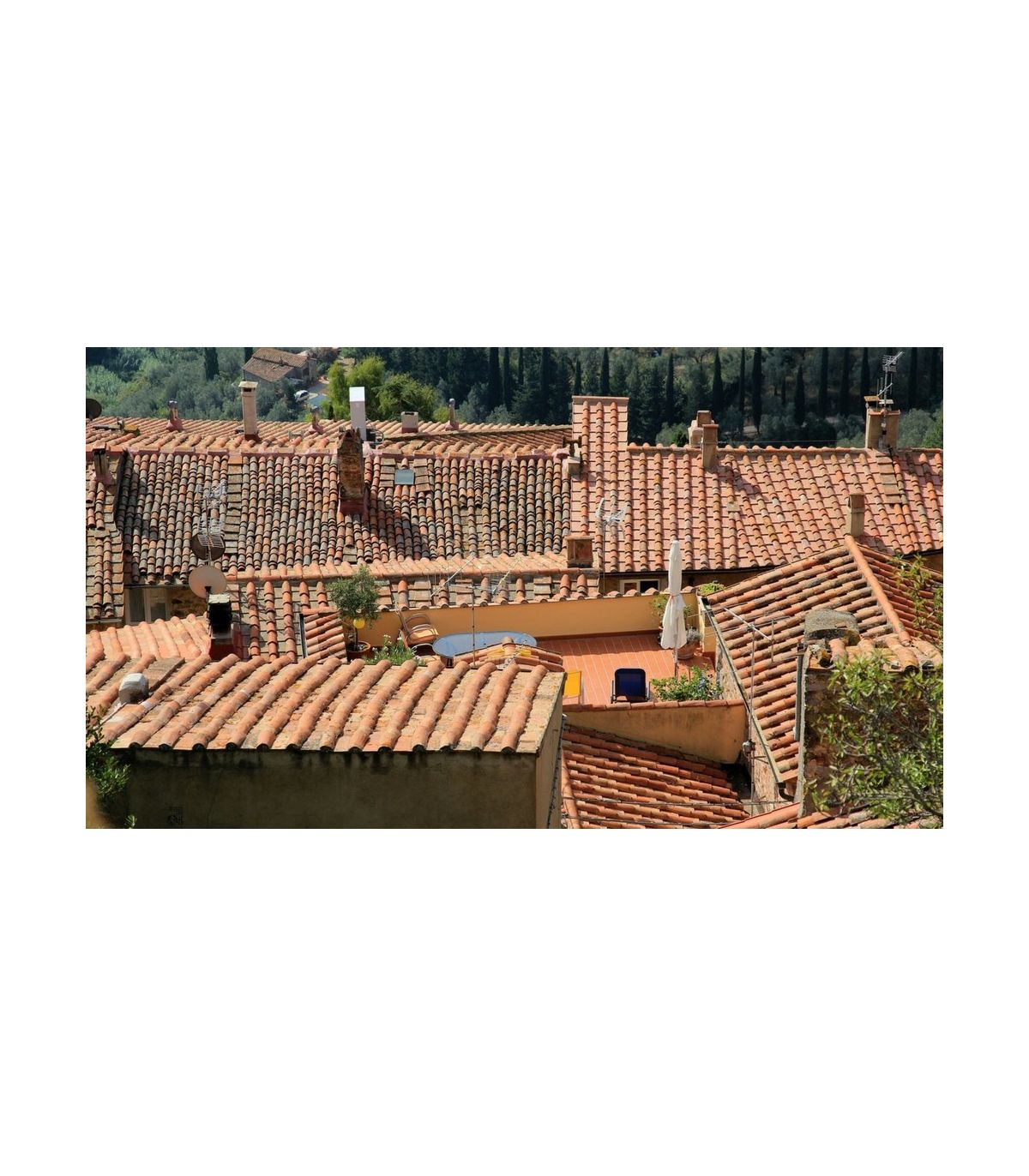 Antimousse pour toiture, murs et façades