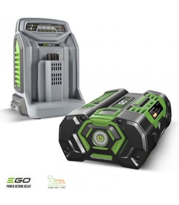 Pack élagage entretien arbres et haies avec moteur chargeur batterie 56v Egopower