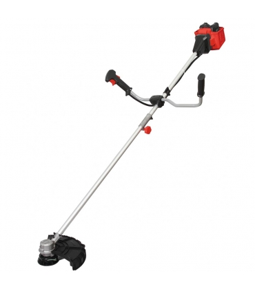 Pack coupe bordure sans fil batterie 20v et chargeur Dunsch DU22040BP