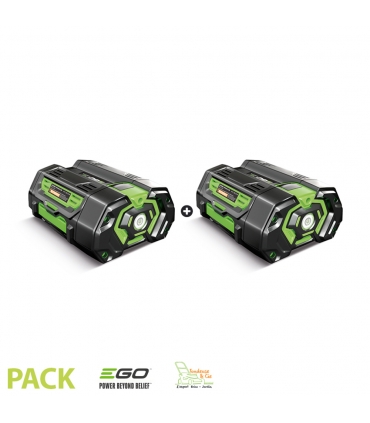 Lot de 2 batteries 4Ah pour outil de jardin sans fil Egopower