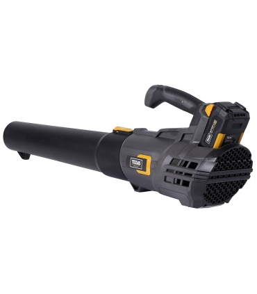Pack souffleur de feuilles sans fil 150km/h batterie 20v 4Ah chargeur TEXAS LBX2000