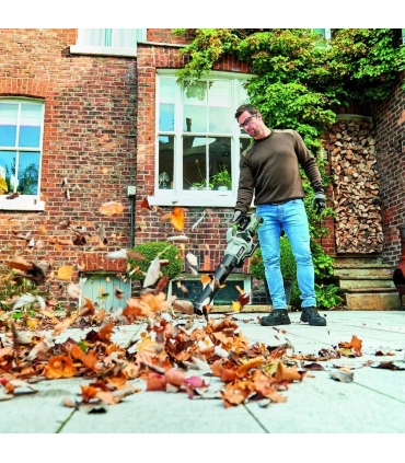 Pack souffleur de feuilles puissant batterie 5ah chargeur rapide EGO LB5804E