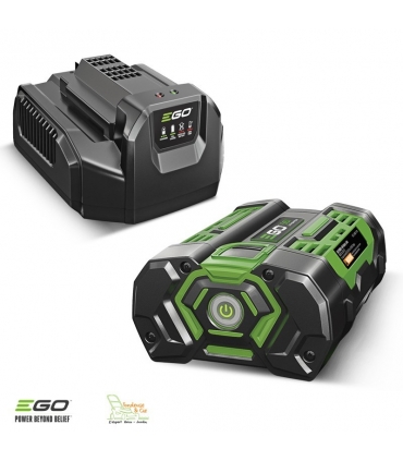 Pack perche élagueuse téléscopique batterie et chargeur inclus ps1000e à  batterie egopower guide oregon 25 cm