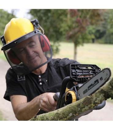 Pack élagueuse sans fil chargeur batterie 20V 4Ah lame 25cm TEXAS CSX2000