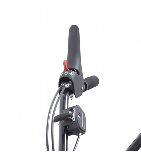 Motobeche thermique 212cc 4100W 2 vitesses fraisage 55 ou 85cm roues de transport LEA LE42212-85W11 Motobeche thermique 212cc 4100W 2 vitesses fraisage 55 ou 85cm roues de transport LEA LE42212-85W11