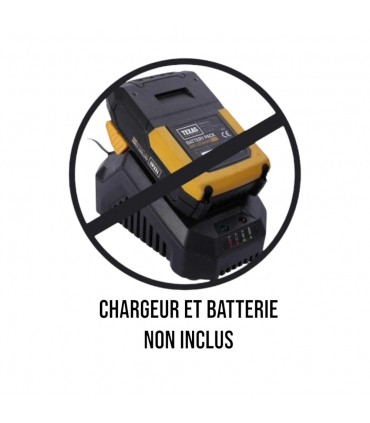 Scarificateur et Aérateur de pelouse sur batterie 20 volts, 650 watts - TEXAS MPX2000