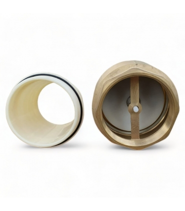 Clapet anti retour en laiton avec crépine et manchette, pour pompe - 3 pouces (80 mm)