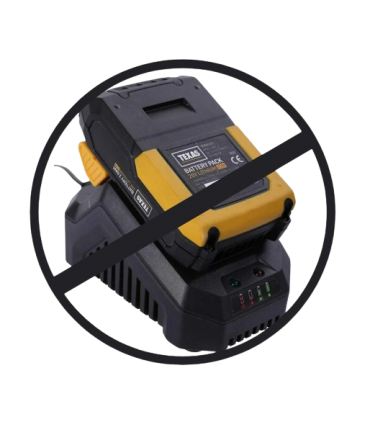 Souffleur de feuilles sans fil électrique 40V, 125km/h de soufflerie -  poids léger de 1,7 kg -  TEXAS LBX 4000