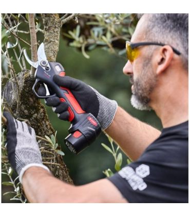 Sécateur électrique 28mm, 2 Batteries 16,8V 2,5 Ah - BLUEBIRD PS23-28