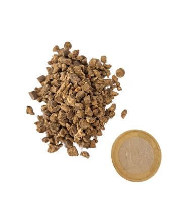 Engrais Flori Or 7-5-7   Algues 20 kg dynamise la vie du sol, pour toutes saisons - Florivert NEG01889