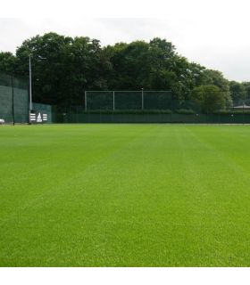 Engrais progressif Flori Or 7-0-12   2MgO   ABM 25 kg renforce le gazon et les végétaux - Florivert NEG00977