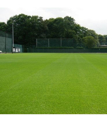 Engrais progressif Flori Or 7-0-12   2MgO   ABM 25 kg renforce le gazon et les végétaux - Florivert NEG00977