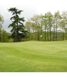 Engrais azoté Flori Or 11-2-3 20 kg favorise l'enracinement, pour sols vivants au printemps - Florivert NEG01888