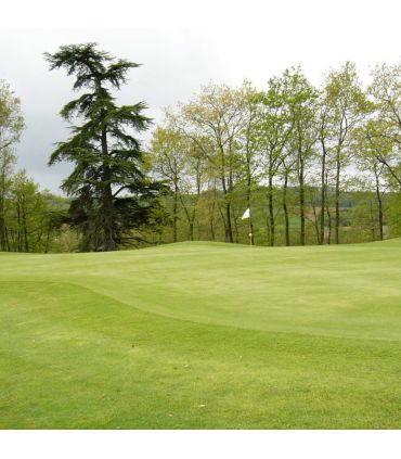 Engrais azoté Flori Or 11-2-3 20 kg favorise l'enracinement, pour sols vivants au printemps - Florivert NEG01888