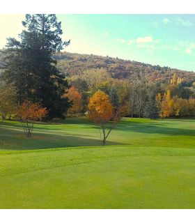 Engrais automnal Flori Or 4-8-12   Algues 25 kg améliore la résistance des plantations - Florivert NEG00976