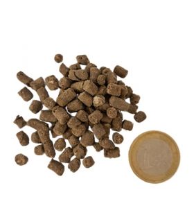 Engrais organique Flori Or Humus 25 kg 100% naturel, pour potagers et plantations - Florivert NEG01809