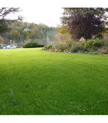 Engrais organique Flori Or Humus 25 kg 100% naturel, pour potagers et plantations - Florivert NEG01809