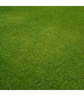 Engrais Flori ER 11-5-22   4 MgO (3/4) 25kg automne, renforce le gazon et réduit les déchets de tonte - Florivert NEG01812