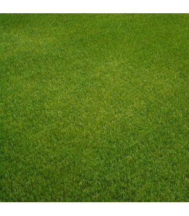 Engrais Flori ER 11-5-22   4 MgO (3/4) 25kg automne, renforce le gazon et réduit les déchets de tonte - Florivert NEG01812