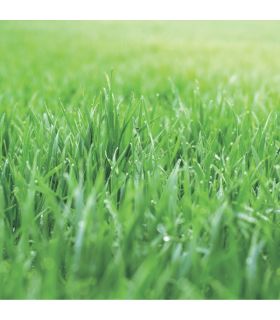 Engrais Flori ER 17-5-16   5 MgO (3/4), 25kg, effet starter, fertilisation prolongée - Florivert NEG01811