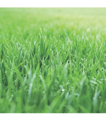 Engrais Flori ER 17-5-16   5 MgO (3/4), 25kg, effet starter, fertilisation prolongée - Florivert NEG01811