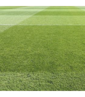 Engrais Flori Or 6-3-20   3MgO 25 kg renforce l'enracinement et le fleurissement, pour l'automne - Florivert NEG00980