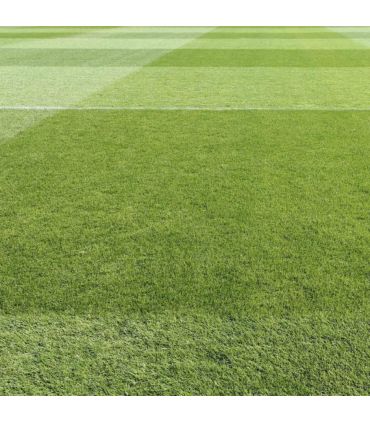 Engrais Flori Or 6-3-20   3MgO 25 kg renforce l'enracinement et le fleurissement, pour l'automne - Florivert NEG00980