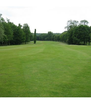 Engrais universel Flori Or 7-2-7 20 kg action équilibrée sol-plante-racine, à épandre toute l'année - Florivert NEG00992