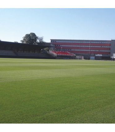 Biostimulant Green Field Power Ultra 5 L pour nutrition et densification du gazon - Kimitec NEG01003