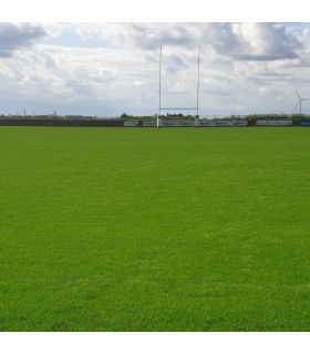 Biostimulant racinaire Deep Root Pro 0,5 kg pour gazon, arbres, fleurs - Kimitec NEG00997