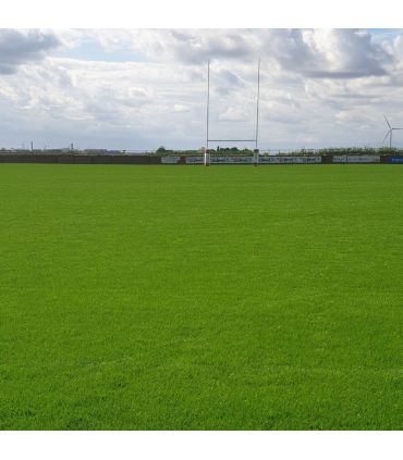 Biostimulant racinaire Deep Root Pro 0,5 kg pour gazon, arbres, fleurs - Kimitec NEG00997