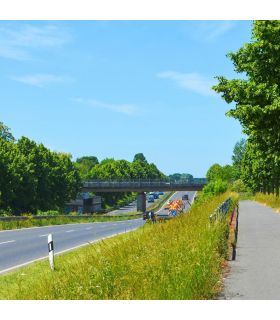 Semis pour gazon Terra Durable 10 kg, pour pousse modérée et bonne densité - Florivert 1201630 Semis pour gazon Terra Durable 10 kg, pour pousse modérée et bonne densité - Florivert 1201630