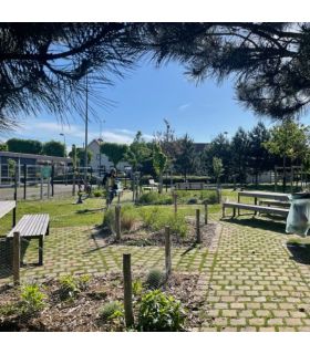 Gazon à semer Terra Terre Pierre 5 kg résistant au sec, idéal pour pelouses durables - Florivert 1206461 Gazon à semer Terra Terre Pierre 5 kg résistant au sec, idéal pour pelouses durables - Florivert 1206461