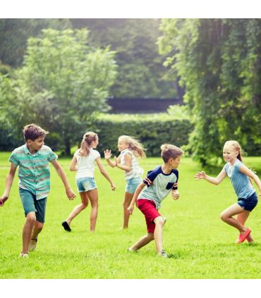 Semences gazon Terra Extrême 5 kg, faible besoin en eau et bel aspect - Florivert 1206457