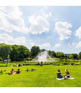 Semences gazon Terra Paysage 10 kg pour un gazon fin et dense facile à établir - Florivert 1201635 Semences gazon Terra Paysage 10 kg pour un gazon fin et dense facile à établir - Florivert 1201635