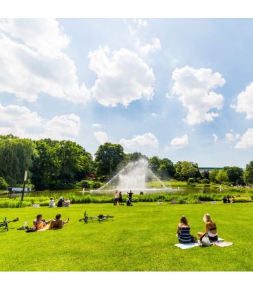 Semences gazon Terra Paysage 10 kg pour un gazon fin et dense facile à établir - Florivert 1201635