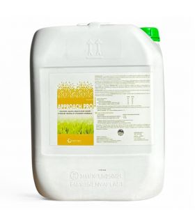 Biostimulant Approach Pro 20 L pour résistance thermique et amélioration du sol - Kimitec NEG01007