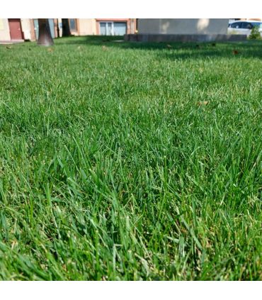 Biostimulant Approach Pro 20 L pour résistance thermique et amélioration du sol - Kimitec NEG01007