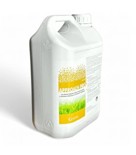 Biostimulant Approach Pro 5 L pour résistance thermique et amélioration du sol - Kimitec NEG01006