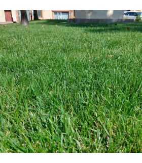 Biostimulant Approach Pro 5 L pour résistance thermique et amélioration du sol - Kimitec NEG01006