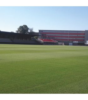 Biostimulant Green Field Power Ultra 20 L pour nutrition et densification du gazon - Kimitec NEG01004