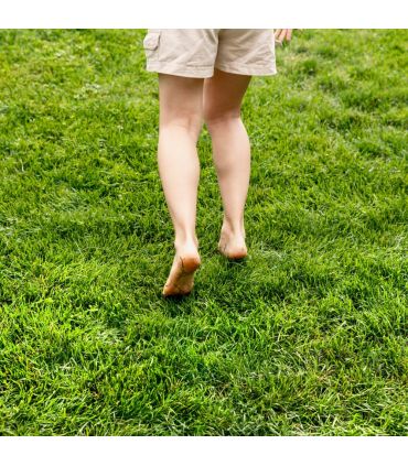 Engrais gazon Flori EL 20-2-5 10L libération lente, pour pelouses bien vertes - Florivert NEG00987