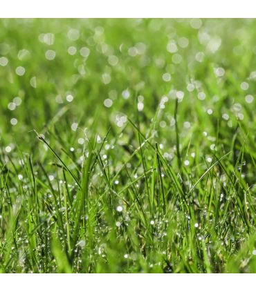 Rétenteur d'eau naturel Flori CER 20 kg céramique poreuse, pour sols arides - Florivert NEG01692