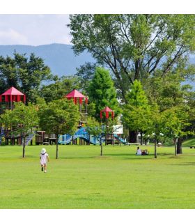 Gazon à semer Terra Rustique 10 kg pour peu d'entretien et bel aspect estival - Florivert 1201636 Gazon à semer Terra Rustique 10 kg pour peu d'entretien et bel aspect estival - Florivert 1201636
