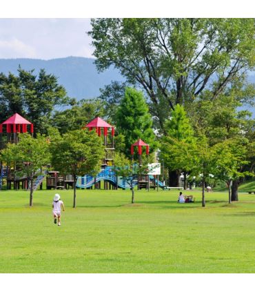 Gazon à semer Terra Rustique 10 kg pour peu d'entretien et bel aspect estival - Florivert 1201636